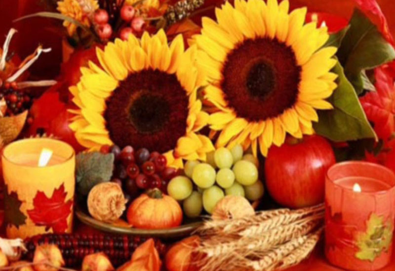 Thanksgiving Day in North America
